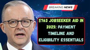 $763 JobSeeker Aid in 2025