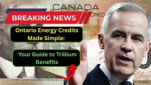 Ontario Energy Credits Made Simple