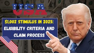 Stimulus Payments